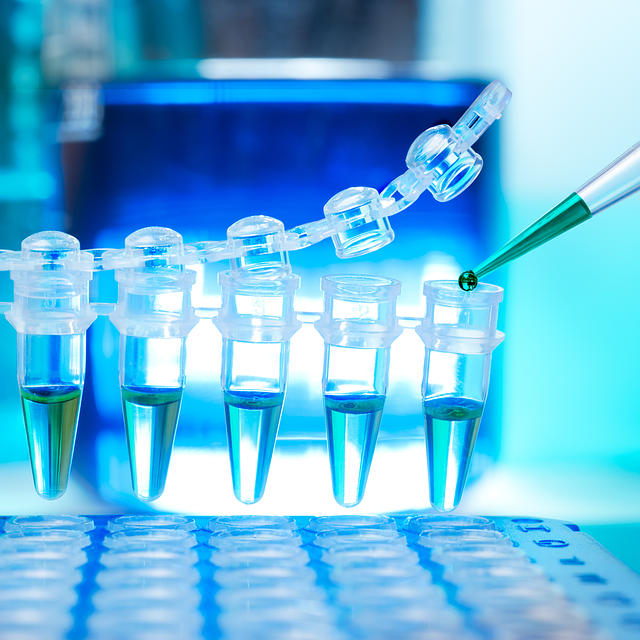 高效聚氨酯軟泡催化劑,確保泡沫快速固化,具有高回彈和優異的機械性能