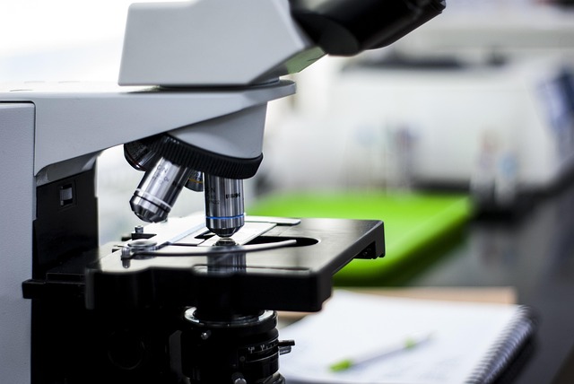 高效叔胺催化劑,適用于聚氨酯發泡和凝膠反應的強效有機胺